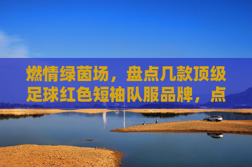 燃情绿茵场,盘点几款顶级足球红色短袖队服品牌,点燃你的运动激情