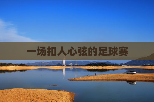 一场扣人心弦的足球赛