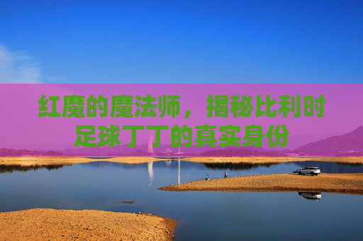 红魔的魔法师,揭秘比利时足球丁丁的真实身份