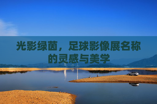 光影绿茵,足球影像展名称的灵感与美学