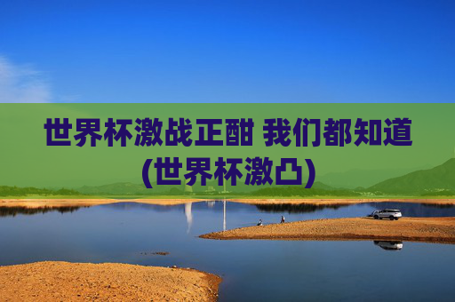 世界杯激战正酣 我们都知道(世界杯激凸)