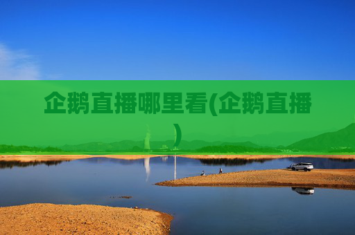 企鹅直播哪里看(企鹅直播)