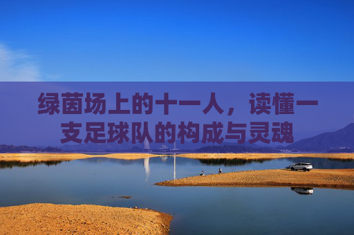 绿茵场上的十一人,读懂一支足球队的构成与灵魂