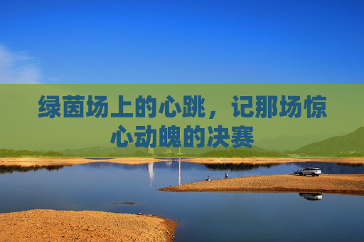 绿茵场上的心跳,记那场惊心动魄的决赛