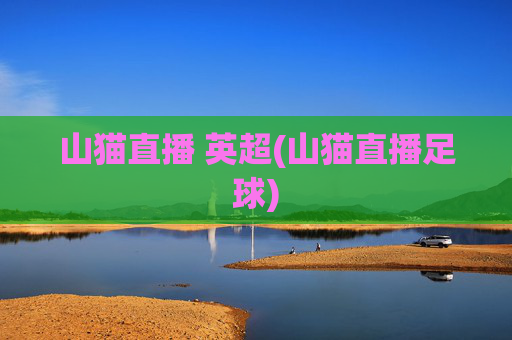 山猫直播 英超(山猫直播足球)