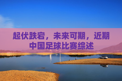 起伏跌宕,未来可期,近期中国足球比赛综述