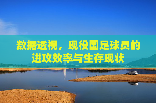 数据透视,现役国足球员的进攻效率与生存现状