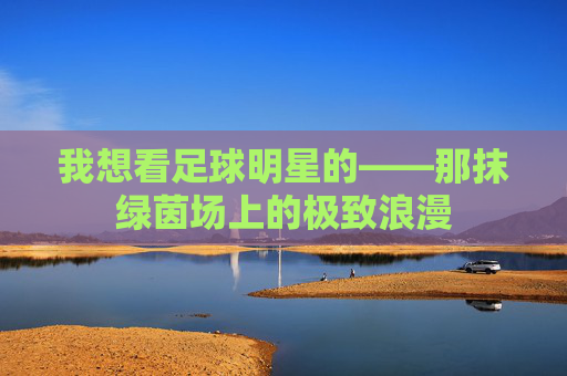 我想看足球明星的——那抹绿茵场上的极致浪漫