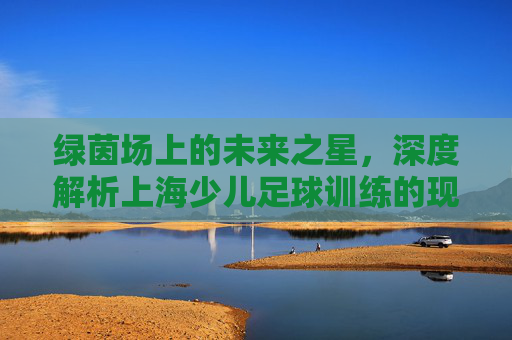 绿茵场上的未来之星,深度解析上海少儿足球训练的现状与价值
