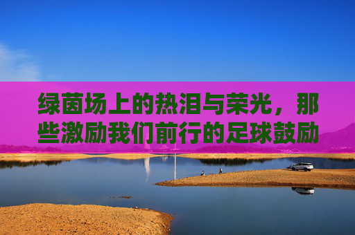 绿茵场上的热泪与荣光,那些激励我们前行的足球鼓励