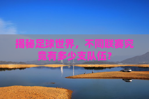 揭秘足球世界,不同联赛究竟有多少支队伍?