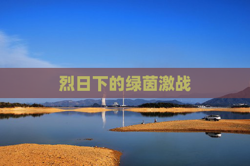 烈日下的绿茵激战