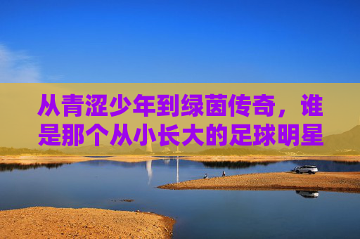 从青涩少年到绿茵传奇,谁是那个从小长大的足球明星?