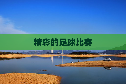 精彩的足球比赛