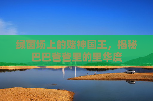 绿茵场上的赌神国王,揭秘巴巴爸爸里的里华度