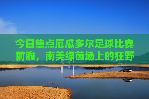 今日焦点厄瓜多尔足球比赛前瞻,南美绿茵场上的狂野之翼能否飞越重围?