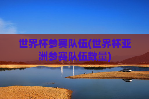 世界杯参赛队伍(世界杯亚洲参赛队伍数量)