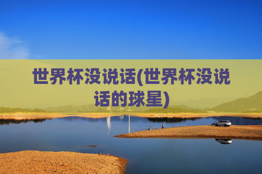 世界杯没说话(世界杯没说话的球星)