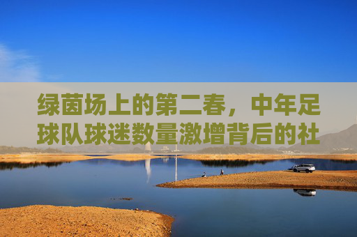 绿茵场上的第二春，中年足球队球迷数量激增背后的社会图景