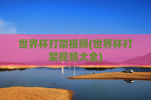 世界杯打架视频(世界杯打架视频大全)