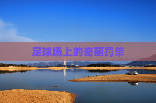 足球场上的奇葩罚单