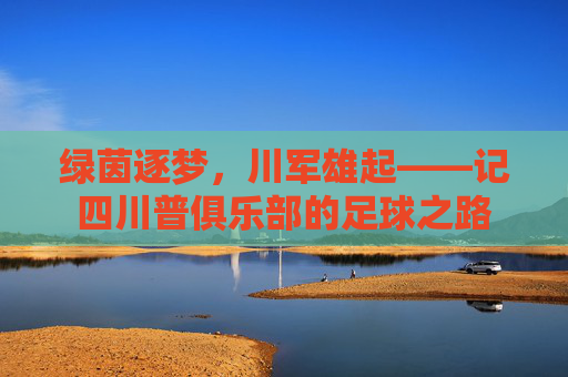 绿茵逐梦,川军雄起——记四川普俱乐部的足球之路