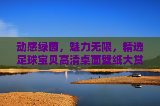 动感绿茵，魅力无限，精选足球宝贝高清桌面壁纸大赏