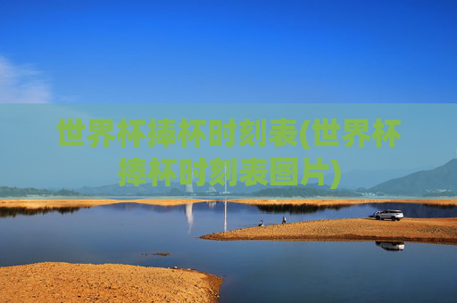 世界杯捧杯时刻表(世界杯捧杯时刻表图片)