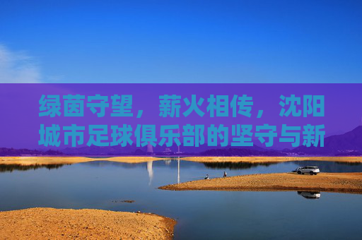 绿茵守望,薪火相传,沈阳城市足球俱乐部的坚守与新生
