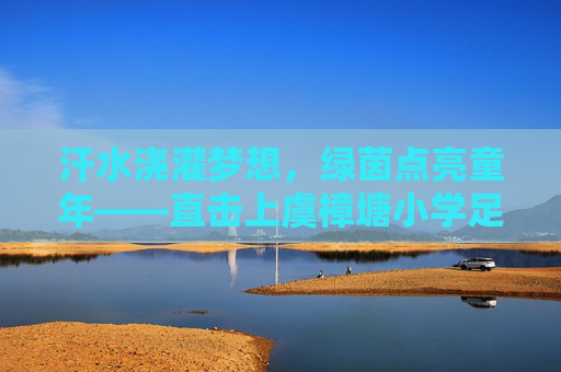 汗水浇灌梦想,绿茵点亮童年——直击上虞樟塘小学足球采访现场