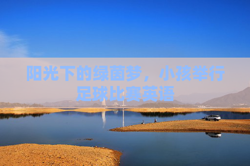 阳光下的绿茵梦,小孩举行足球比赛英语