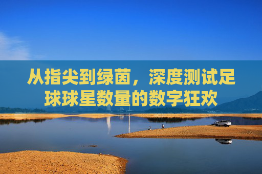 从指尖到绿茵,深度测试足球球星数量的数字狂欢
