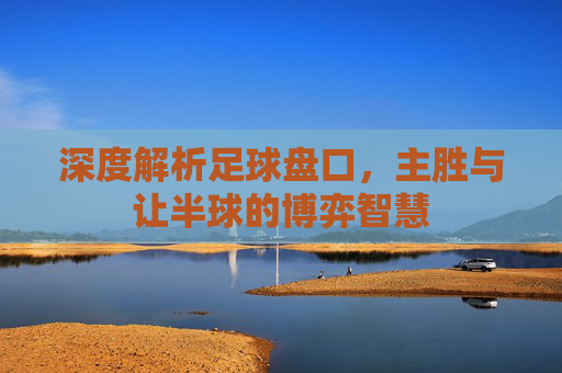 深度解析足球盘口,主胜与让半球的博弈智慧