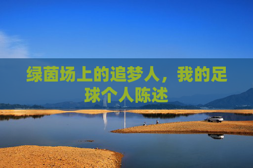 绿茵场上的追梦人,我的足球个人陈述
