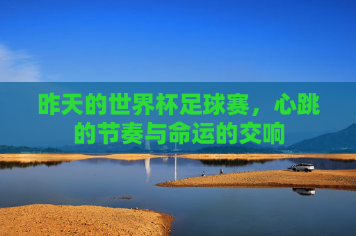 昨天的世界杯足球赛,心跳的节奏与命运的交响