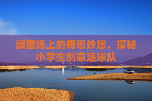 绿茵场上的奇思妙想,探秘小学生创意足球队