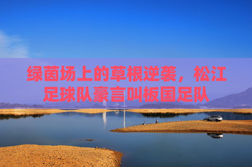 绿茵场上的草根逆袭，松江足球队豪言叫板国足队