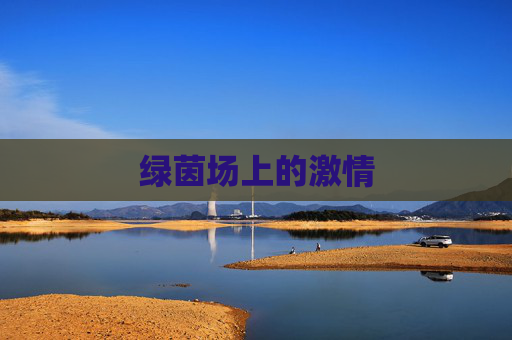 绿茵场上的激情