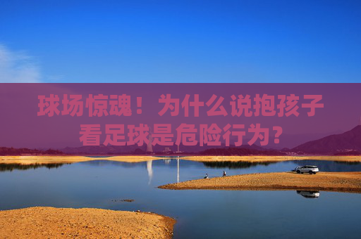 球场惊魂!为什么说抱孩子看足球是危险行为?