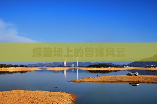 绿茵场上的兽球风云