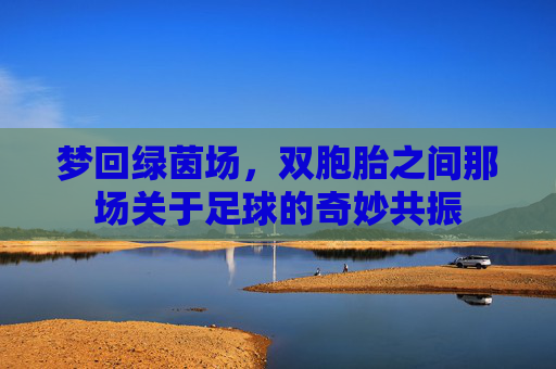 梦回绿茵场,双胞胎之间那场关于足球的奇妙共振