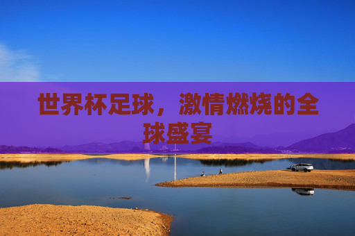 世界杯足球,激情燃烧的全球盛宴