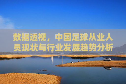 数据透视,中国足球从业人员现状与行业发展趋势分析