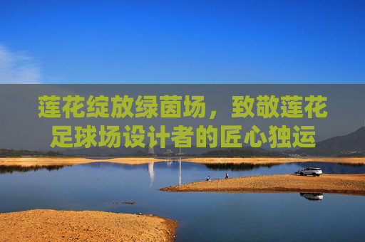 莲花绽放绿茵场,致敬莲花足球场设计者的匠心独运