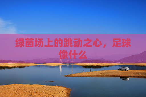 绿茵场上的跳动之心，足球像什么