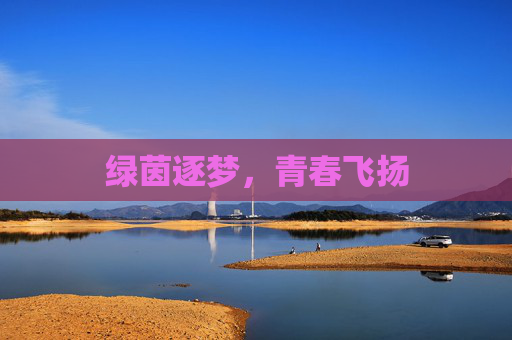 绿茵逐梦,青春飞扬
