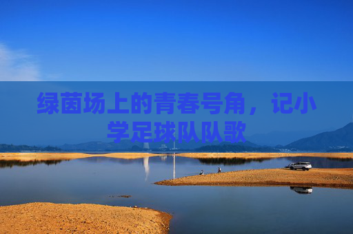 绿茵场上的青春号角,记小学足球队队歌