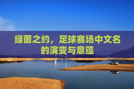 绿茵之约,足球赛场中文名的演变与意蕴