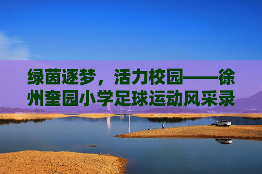 绿茵逐梦,活力校园——徐州奎园小学足球运动风采录