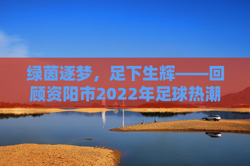 绿茵逐梦，足下生辉——回顾资阳市2022年足球热潮